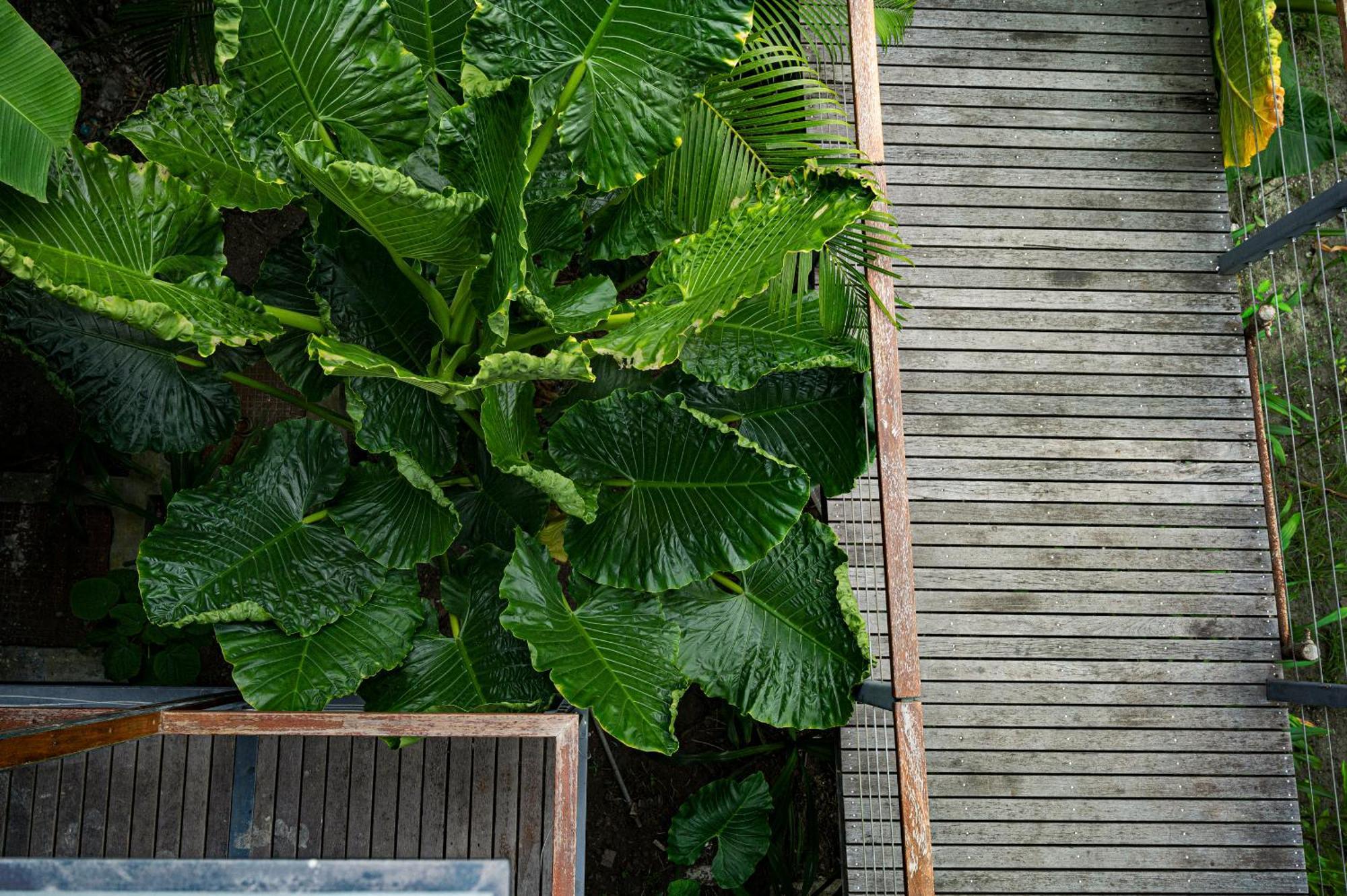 Hotel Tilar Siro Andamans - A Cgh Earth Experience Govind Nagar Esterno foto
